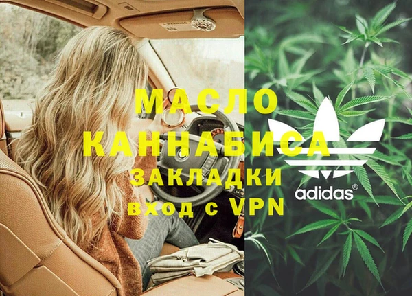 кокс Гатчина