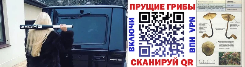 Галлюциногенные грибы MAGIC MUSHROOMS  Чехов 